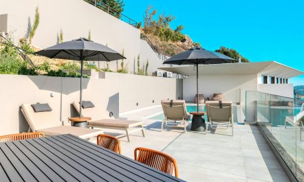 Sunlight Sanctuary 5