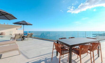 Sunlight Sanctuary 6