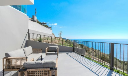 Sunlight Sanctuary 9