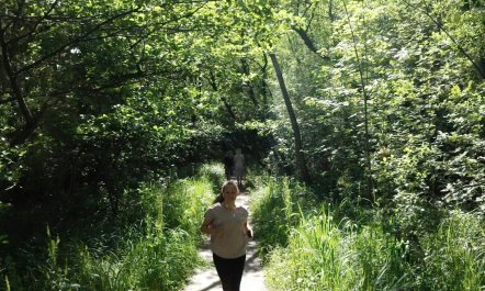 Scandinavian Serenity 1