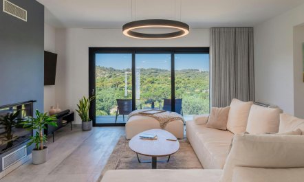 Ancient Olives & Mountains 1