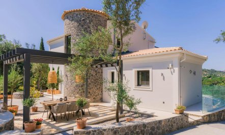 Ancient Olives & Mountains 5