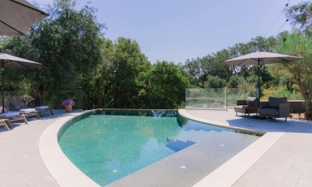 Ancient Olives & Mountains 4