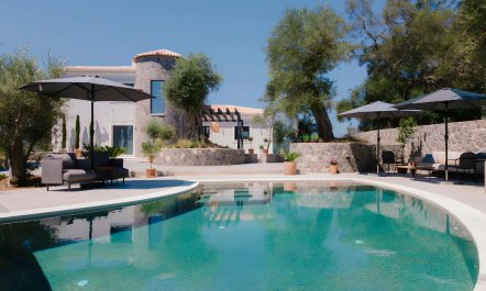 Ancient Olives & Mountains