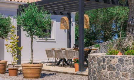 Ancient Olives & Mountains 6