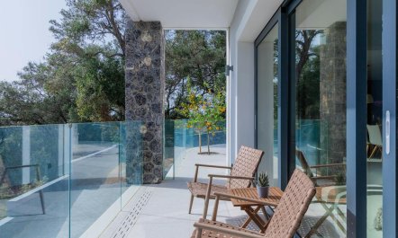 Ancient Olives & Mountains 9