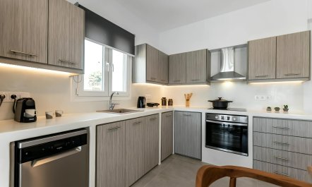 Aegean Coast Embrace 9