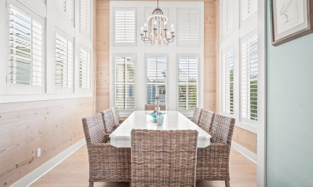 Stillness by the Shore 4