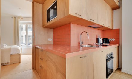 Classic Parisian Street 5