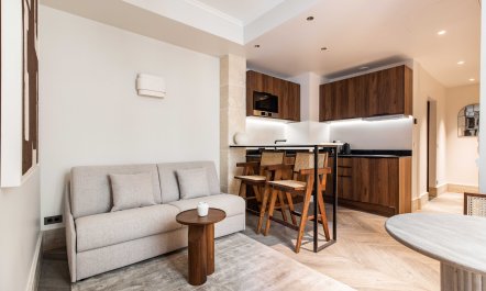 Place Royale Paris 2