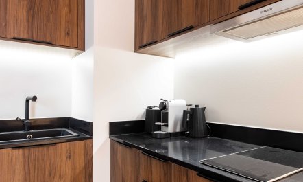 Place Royale Paris 5