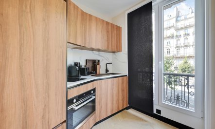 Promenading in Paris 5