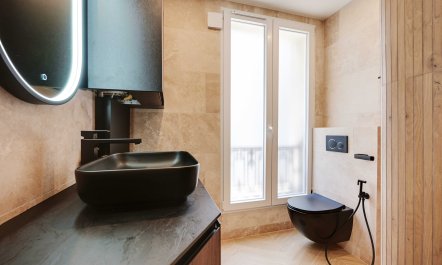 Promenading in Paris 9