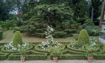 An Italian Charm 2