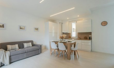 Magnolia Tree View 6