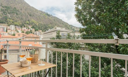 Magnolia Tree View 1