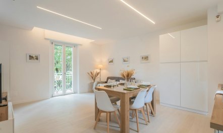 Magnolia Tree View 7