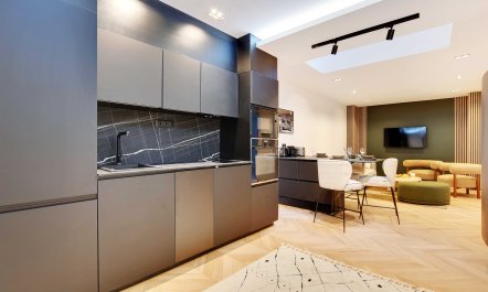 Parisian Courtyard Abode 4