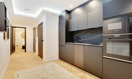 Parisian Courtyard Abode 5