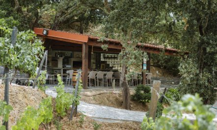 Douro Valley Villa 5