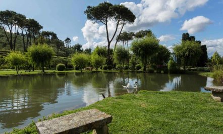 Tuscan Villa Dream 5