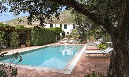 Olive Grove Cottage 2