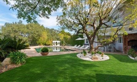 Cappuccinos & Martinis 2