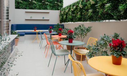 Jasmine in the City 8