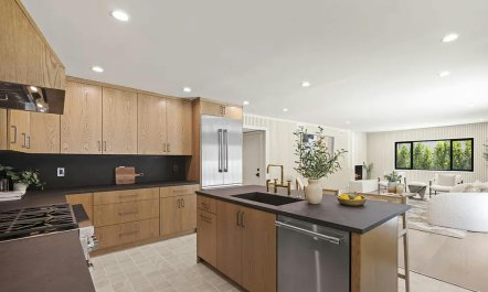 Sunset Over Sycamores 6