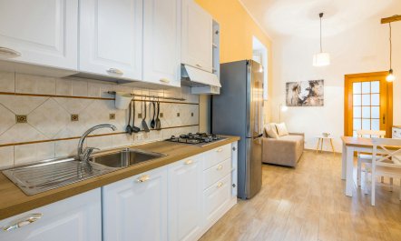 The Dream of Light 0