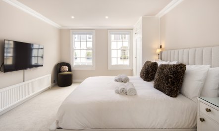 Belgravia Mews House 9