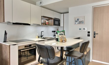 Pleasant Parisian Scene 4