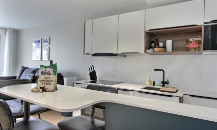 Pleasant Parisian Scene 5