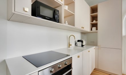 Silhouettes of Paris 4