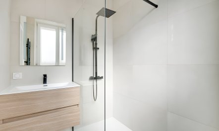 Silhouettes of Paris 9