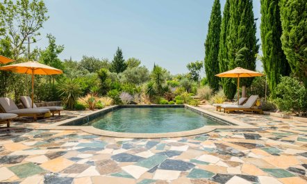 Olive Acres Vista 1
