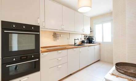 Moonlight Panorama 6