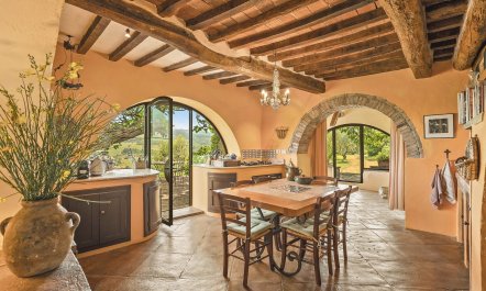 Under the Chianti Sun 6