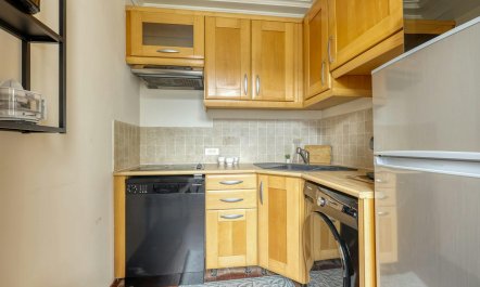 Whispers of Saint-Germain 4