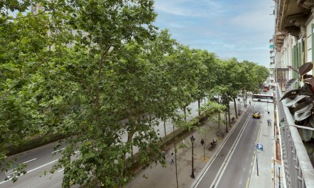 Setting the Eixample 1