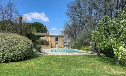 Vineyards & Villages