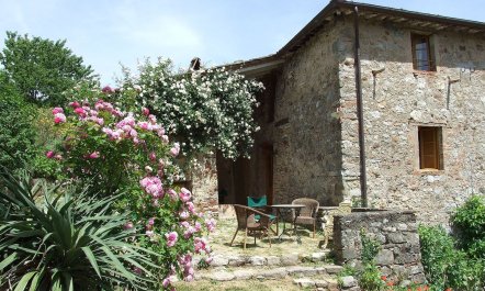 Tuscan Blooms 9
