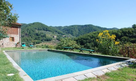 Tuscan Blooms