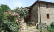 Tuscan Blooms 9