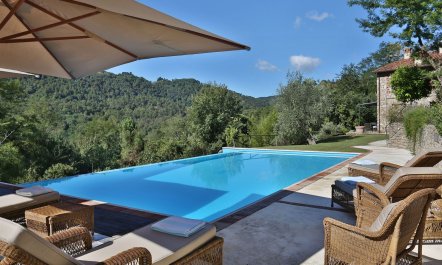 Tuscan Wilderness 2