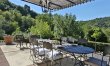 Tuscan Wilderness 1