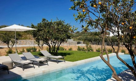 Golden Riviera Retreat 1