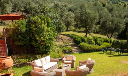 Olive & Cypress 7