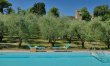 Olive Outlook 0
