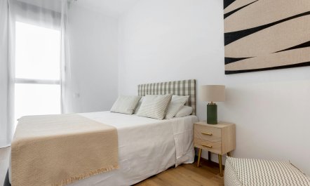 Stripes & Sunlight 7